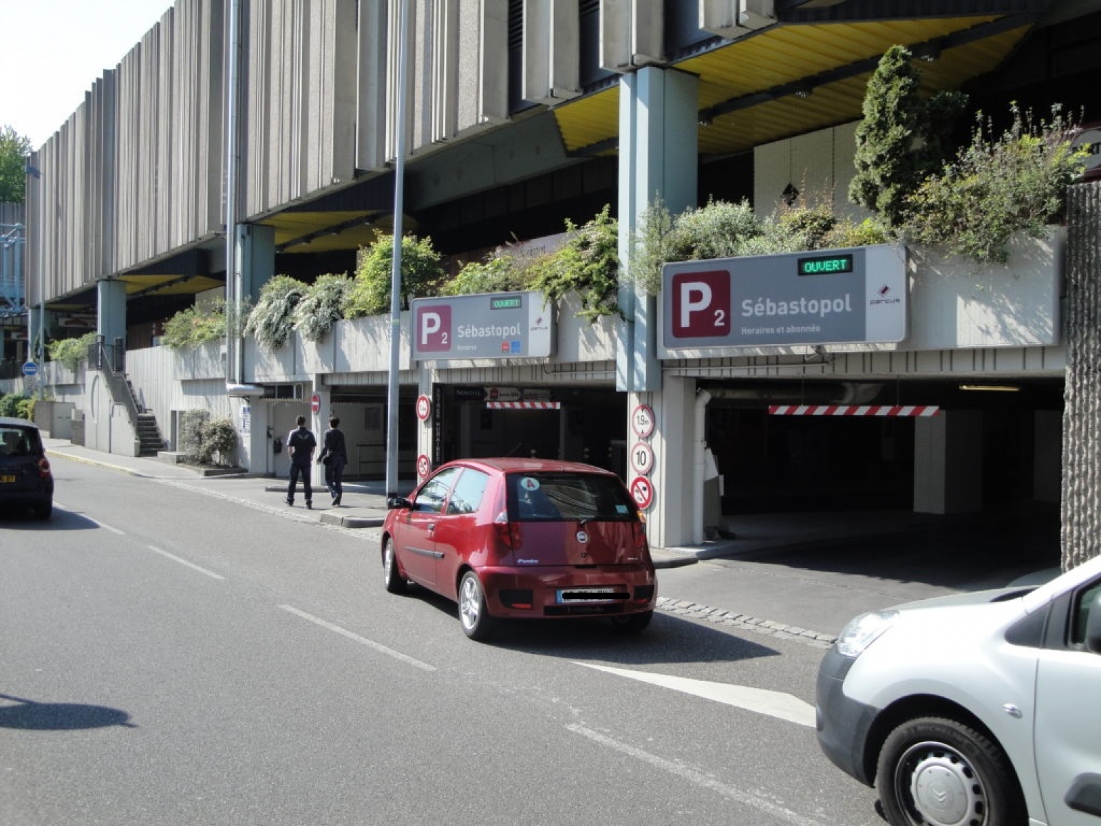 P2 Sebastopol